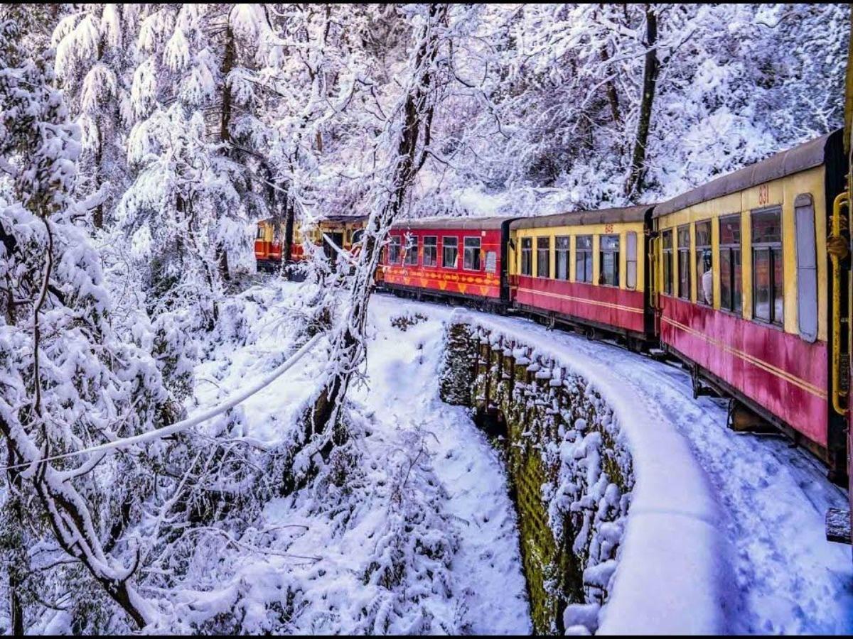 shimla