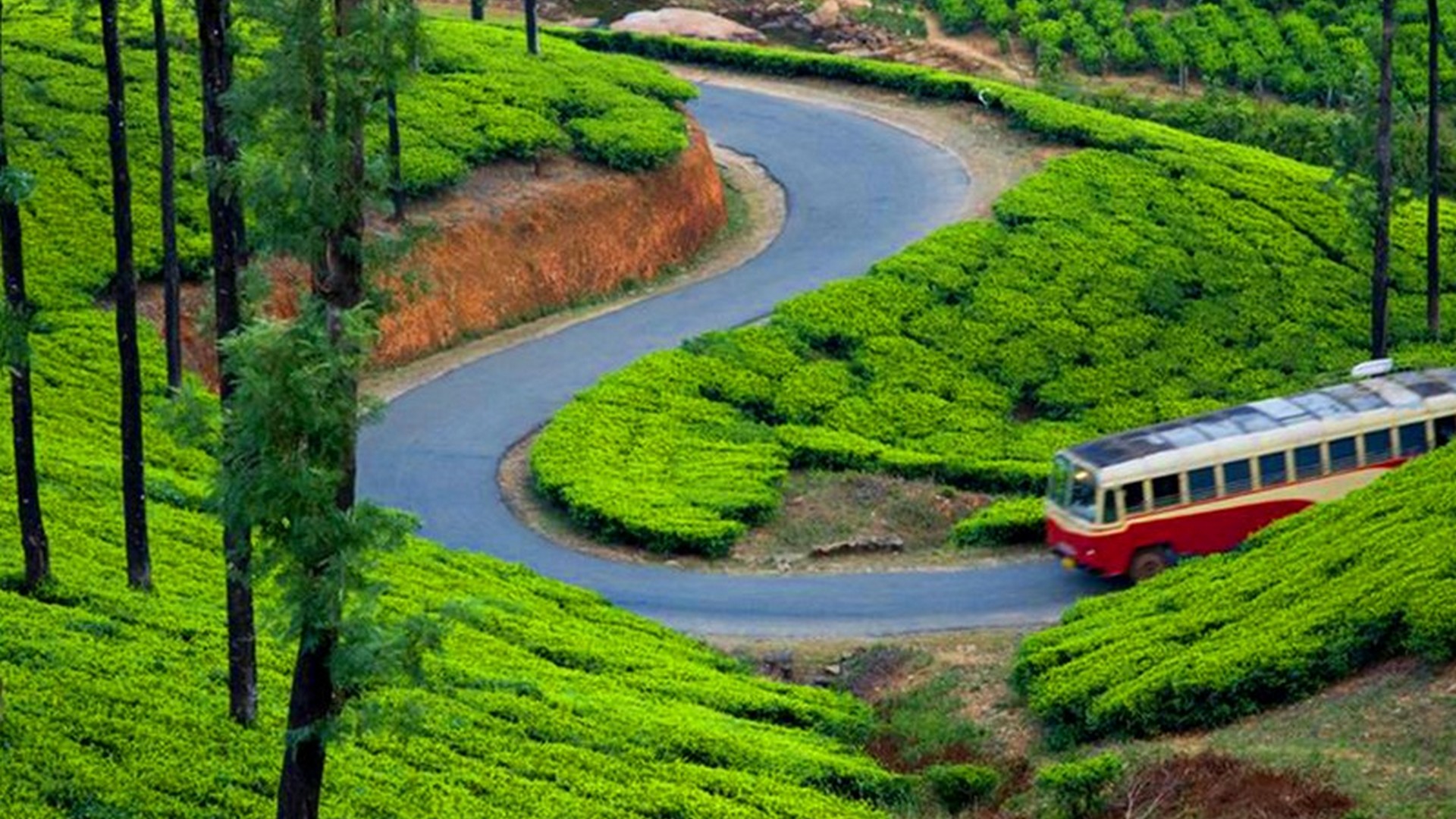 munnar-tea-garden-bus-1518332803